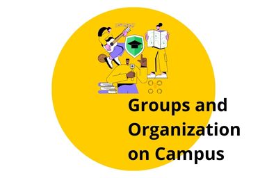 Groups